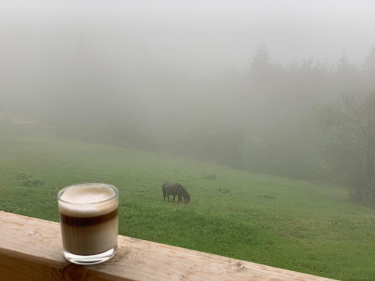 Magura Resort Yablunytsia Buitenkant foto